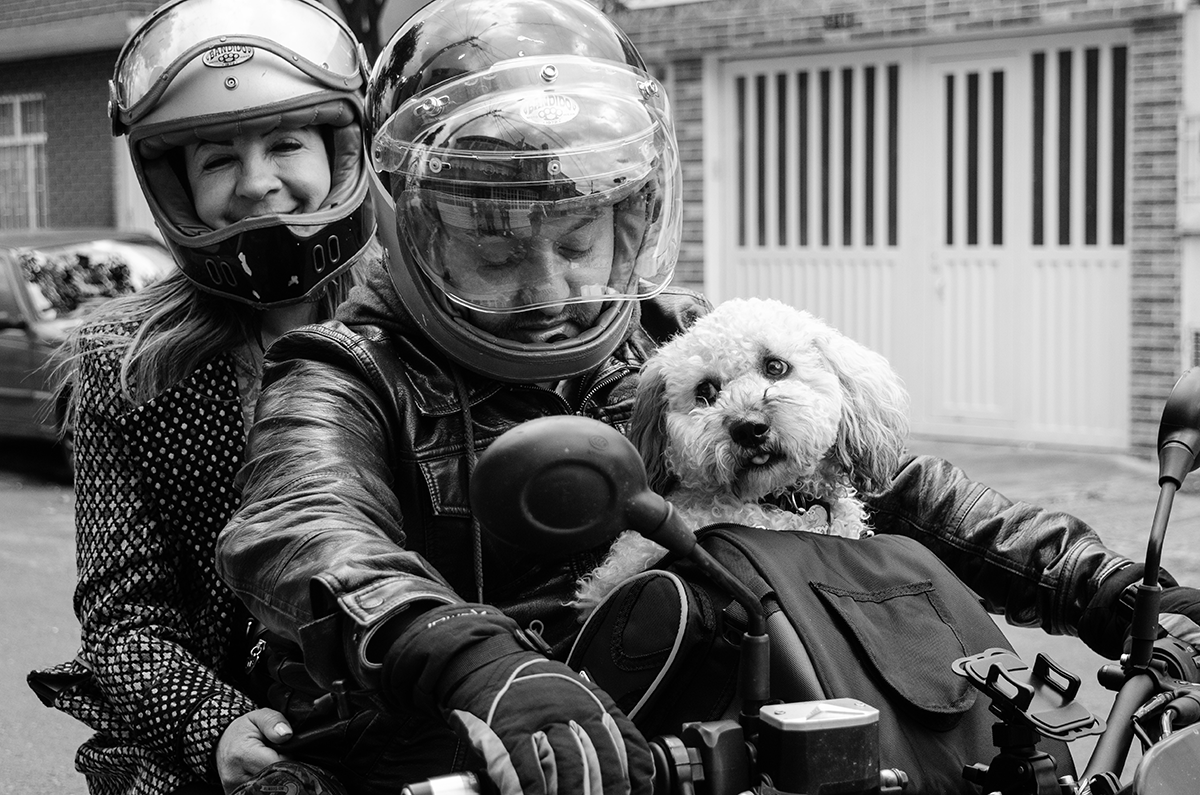 La PetBag es un Bolso / Maleta diseñada para transportar a los motociclistas con sus mascotas de manera cómoda y segura por medio de su impermeabilidad, sujeción segura, aerodinámica y gran capacidad de carga.