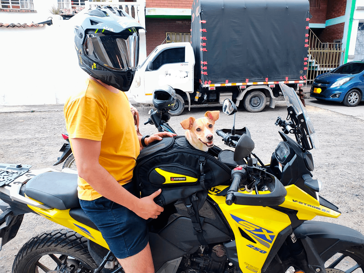 Motocicleta Porta Mascotas Para Viajar PetBag Para Motos