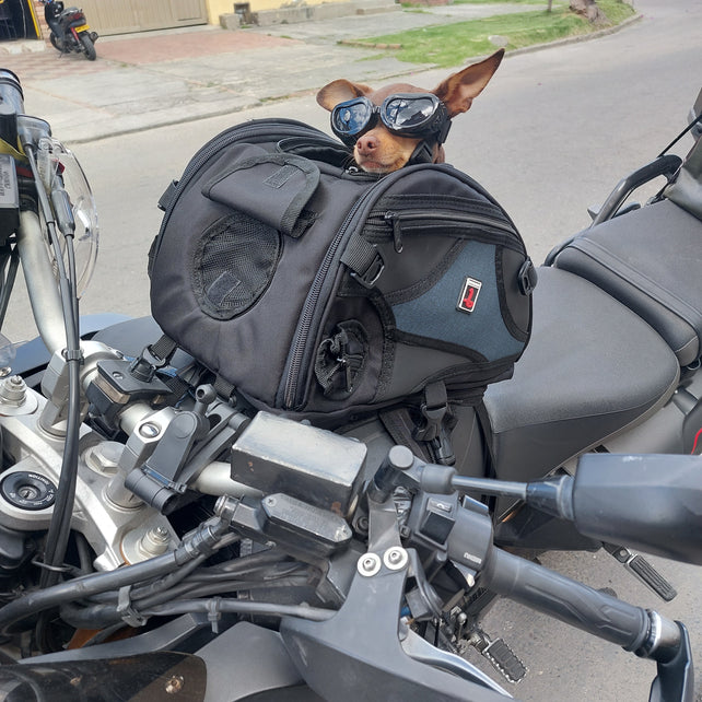 PetBag™  | Maleta para transportar Mascotas en moto con Arnés  y Extra-Seguridad