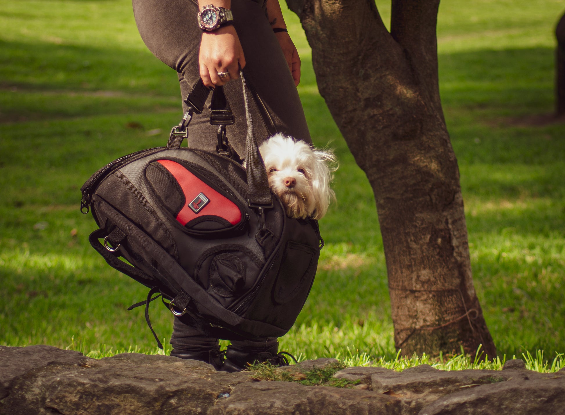 PetBag para Motos