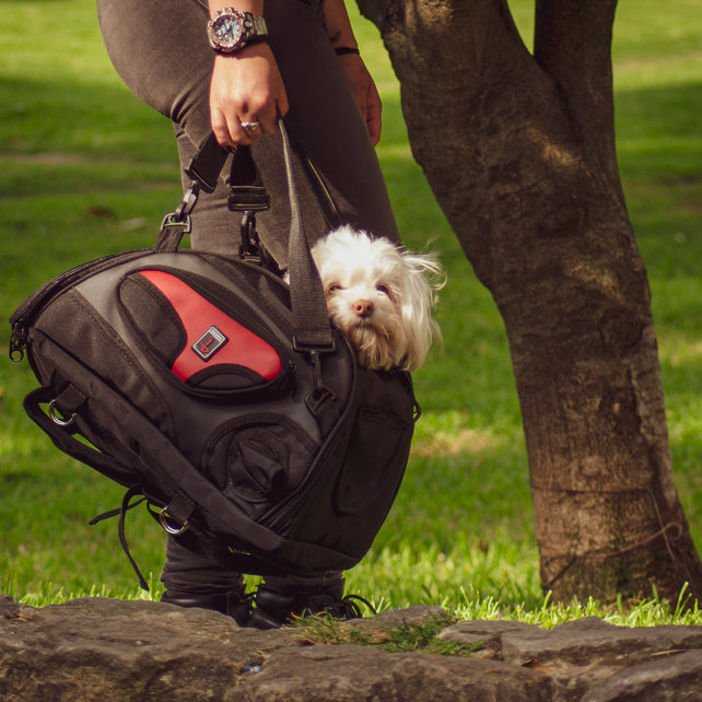 PetBag para Motos