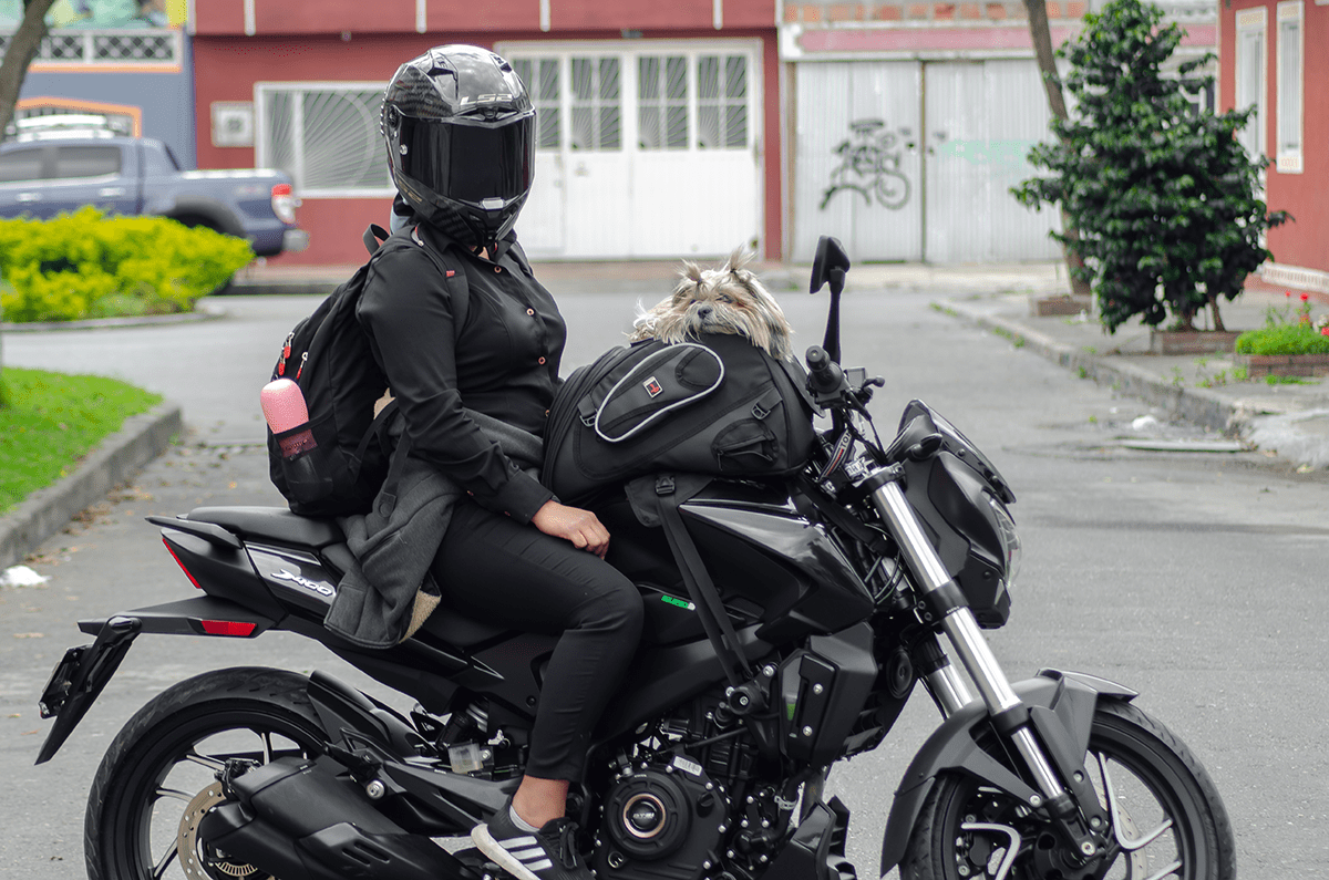 Las PetBag son un bolso / maleta impermeable y segura, diseñada para viajes con mascotas. Sujeción estable y materiales de alta resistencia.