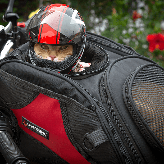 La PetBag es un bolso / maleta para moto, acolchada y con ventilación óptima para la seguridad y confort de tu mascota.